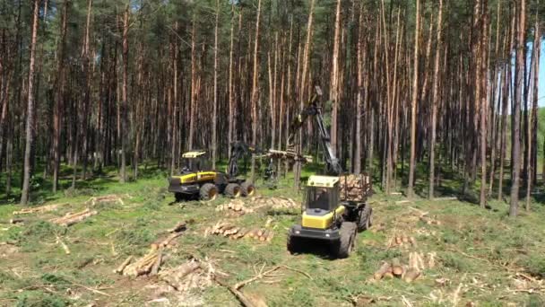 Cosechadora de máquinas forestales cortando árboles - Metraje, vídeo