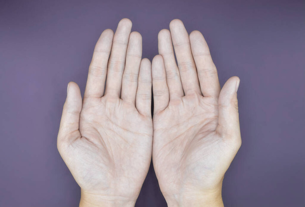Пальмова поверхня обох рук. Азіатські руки, китайці. Ізольований на пурпуровому фоні. - Фото, зображення