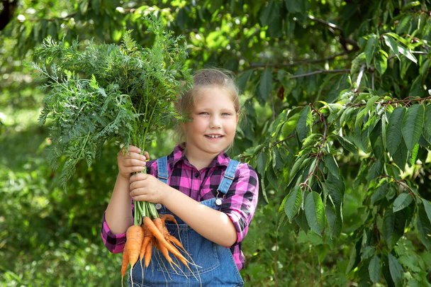 Baby meisje met wortels in de tuin kind eten gezonde voedsel levensstijl veganistische biologische rauwe groenten thuis geteelde zomer tuinieren concept - Foto, afbeelding