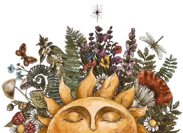 Vintage sun illustration with woodland treasures, Amanita mushroom, fern, forest plants baner. Botanical illustration isolated on white background. - 写真・画像