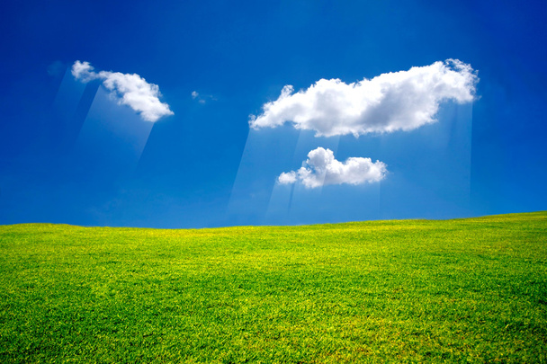 groene weide met blauwe hemel - Foto, afbeelding