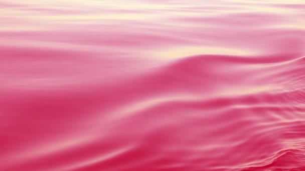 Vaaleanpunainen aaltoileva tausta. Merenpinta liikkuu sujuvasti ja muodostaa aaltoilun. Luonto on rauhallinen ja rauhallinen, syvän sininen pohjoinen Tyynimeri. Viety risteilyaluksella. - Materiaali, video