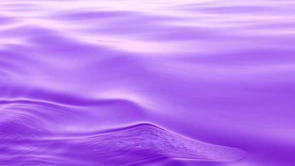 紫色の波状の背景。海面は滑らかに動き、リップルを形成します。自然の平和と穏やかな、深い青色の北太平洋です。クルーズ船に乗って. - 映像、動画