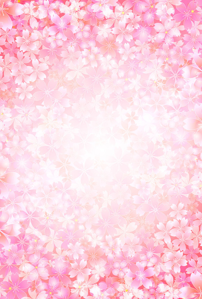 Cherry blossom background - Vector, Image