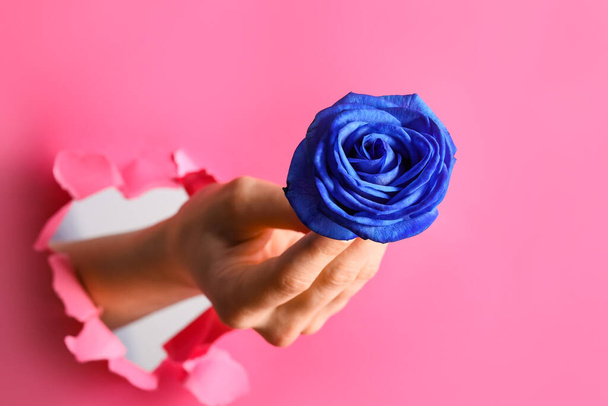 Female hand with blue rose visible through hole in color paper - Photo, Image