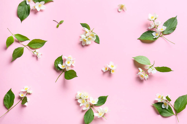 Kaunis jasmiini kukkia värillinen tausta - Valokuva, kuva