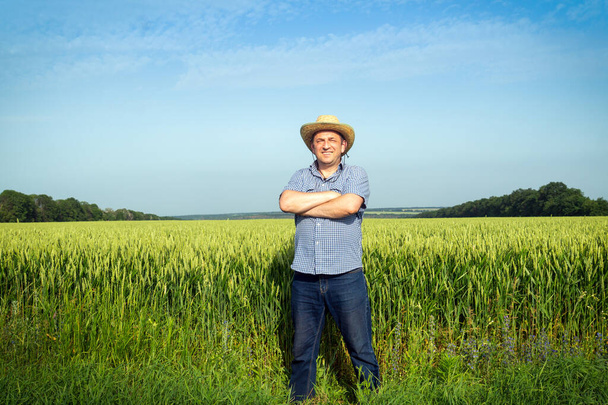 Agricultor de pie en un campo de trigo examinando la cosecha en un día soleado. Idea de cuidado de plantaciones. - Foto, Imagen