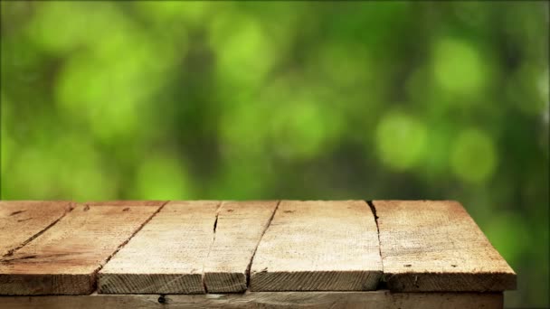 Empty wooden table with fresh green defocused background - Πλάνα, βίντεο