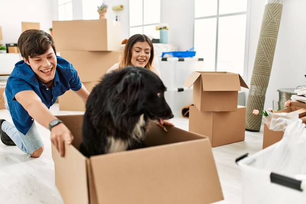 Kafkasyalı genç bir çift gülümsüyor mutlu bir şekilde köpekleri yeni evlerinde karton kutuya taşıyorlar.. - Fotoğraf, Görsel