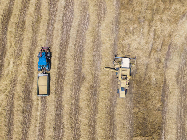 Воздушный беспилотник видит желтый комбайн и голубой трактор, собирающий урожай в зерновом поле. Вид соломенных рядов. - Фото, изображение
