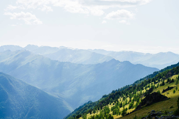 Вид с высоты птичьего полета на зеленые лесные склоны с камнями и большими заснеженными горами. Удивительный альпийский ландшафт обширных просторов. Прекрасный живой пейзаж с зеленой горой с лесом и скалами. - Фото, изображение