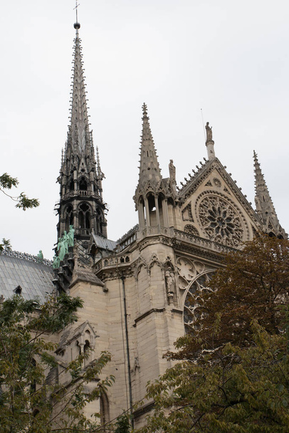 A vertical shot of Notre Dame of Paris in Paris, France - Foto, imagen