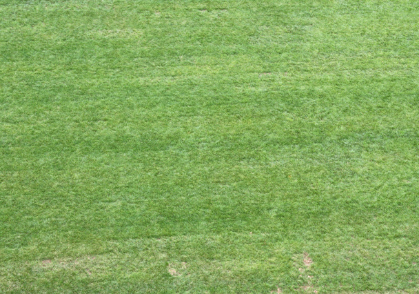 prado verde hierba vista desde arriba para usar como fondo de pantalla o espalda
 - Foto, imagen