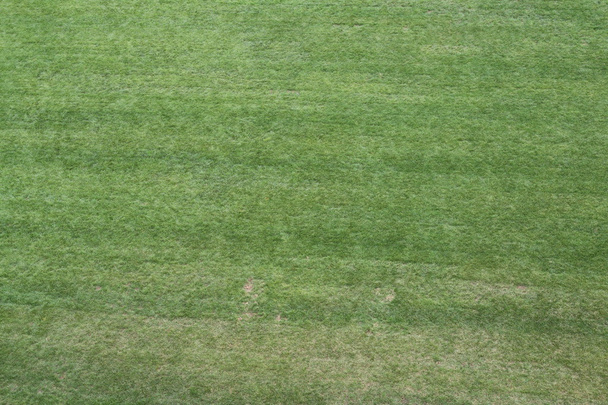 schöner grüner Rasen hervorragend als Tapete 2 zu verwenden - Foto, Bild