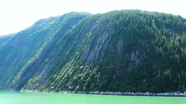 Yeşil bitkiler dağın kaya duvarlarını kaplarlar. Alaska fiyortları, eşsiz doğal manzaralar. Alaska, ABD. Haziran 2019. - Video, Çekim