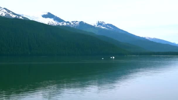 Buzdağlarını görmek için bir göl gezisine çık. Alaska fiyortları, eşsiz doğal manzaralar. Alaska, ABD. Haziran 2019. - Video, Çekim
