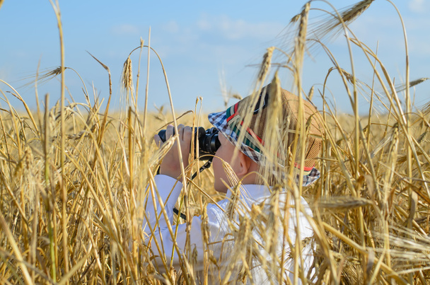 Little boy hiding in a wheat field bird watching - Photo, Image