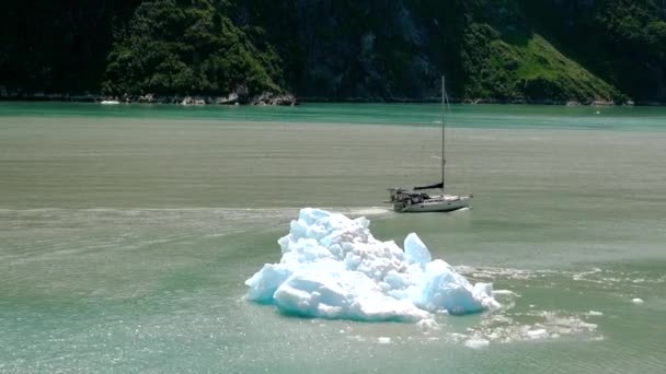 Yelkenli, buz kütleleriyle bir gölde yelken açıyor. Yazın Alaska manzarası. Alaska fiyortları, eşsiz doğal manzaralar. Alaska, ABD. Haziran 2019. - Video, Çekim