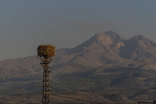 A large nest with a family of storks on a transmission tower; a landscape of mountains in winter with the blue sky background - Foto, imagen