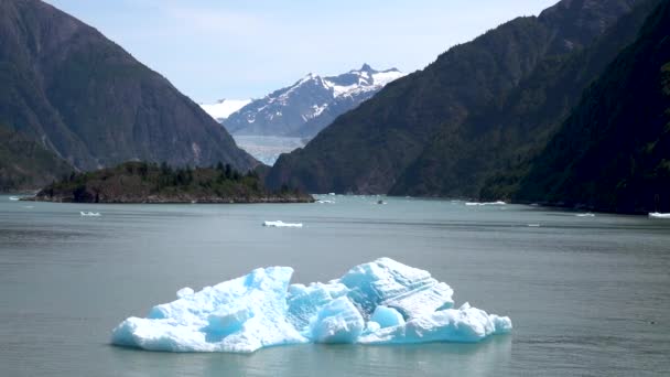 IJs drijft op de oppervlakte van het meer. Het is amberkleurig water blauw. De fjorden van Alaska, unieke natuurlandschappen. Alaska, USA. juni 2019. - Video