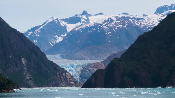 Buz gölün yüzeyinde yüzer. Kehribar rengi su mavisi. Alaska fiyortları, eşsiz doğal manzaralar. Alaska, ABD. Haziran 2019. - Video, Çekim