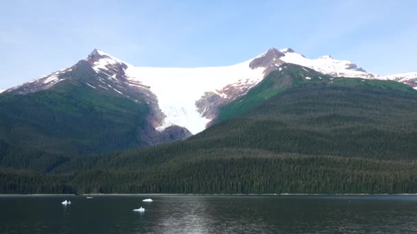 Gletsjers, bomen en groene vegetatie. Er staan ijsschotsen op het meer. De fjorden van Alaska, unieke natuurlandschappen. Alaska, USA. juni 2019. - Video