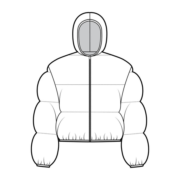 Kapuzenjacke Daunenjacke mit Kugelfell technische Mode Illustration mit langen Ärmeln, Reißverschluss, boxy fit, bauchfrei - Vektor, Bild