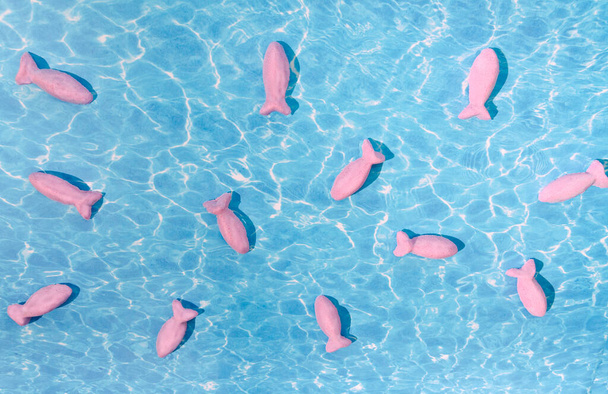 Cute pink fishes swimming in the sea or in the ocean. Surreal summer vibes fantasy concept. Pastel trend creative design. - Photo, Image