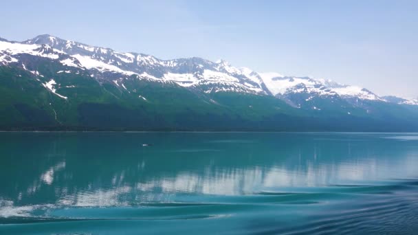 Gölde dolaşın ve buzdağlarını görün. Göl kehribar mavisi. Alaska fiyortları, eşsiz doğal manzaralar. Alaska, ABD. Haziran 2019. - Video, Çekim