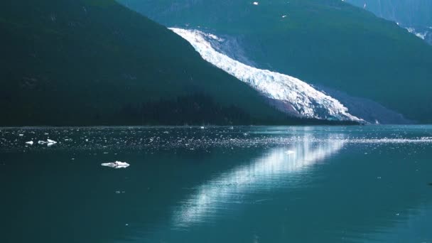 Rij over het meer en zie de ijsbergen. Het meer is amberblauw. De fjorden van Alaska, unieke natuurlandschappen. Alaska, USA. juni 2019. - Video