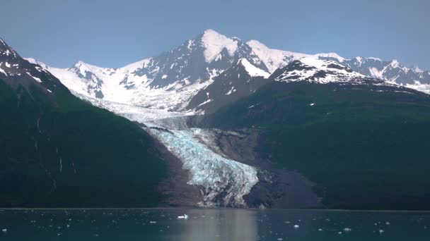 Rij over het meer en zie de ijsbergen. Gletsjers stromen het meer in. De fjorden van Alaska, unieke natuurlandschappen. Alaska, USA. juni 2019. - Video