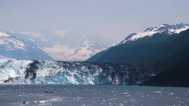 Diverse uitzichten op de ijsplaat in de zomer. Geniet vanaf het cruiseschip van het uitzicht op de ijsplateau. Alaska, USA. juli 2019. - Video