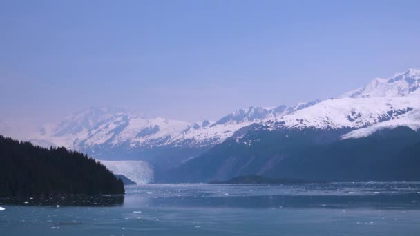 Różne widoki na półkę na lód w lecie. Ciesz się widokiem na lodową półkę ze statku wycieczkowego. Alaska, USA. lipiec 2019. - Materiał filmowy, wideo
