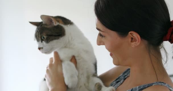 When a cat loves a woman can't keep his muzzle on nothin' else - Footage, Video
