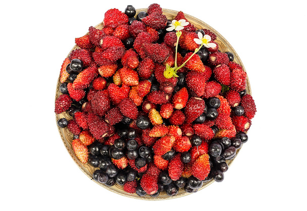 arándano y fresa silvestre en un plato
 - Foto, imagen
