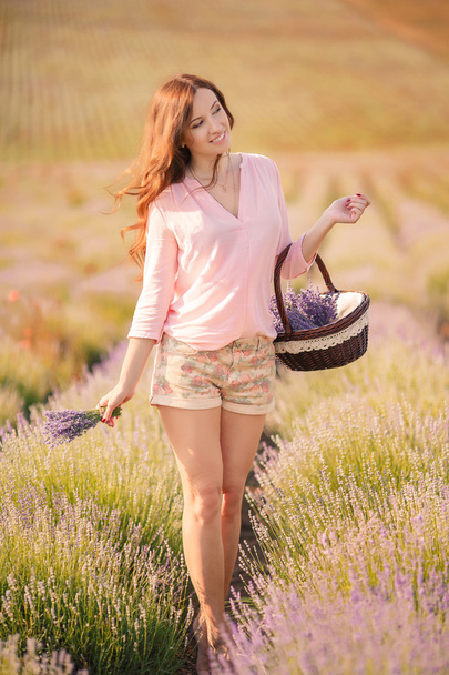 Красива дівчина на лавандовому полі
. - Фото, зображення