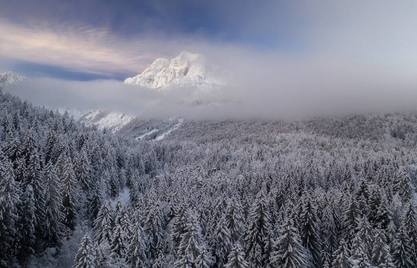 Volare sopra una foresta invernale in una bella giornata lunatica sulle montagne delle Alpi Giulie. - Foto, immagini