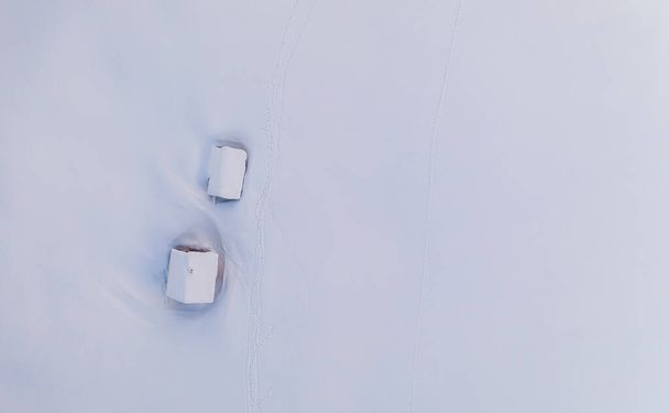 Piękny zimowy dzień w śnieżnych górach Słowenii. Wędrówka po dziewiczym lesie sosnowym. - Zdjęcie, obraz