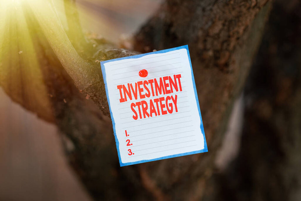 手書きテキスト投資戦略。ビジネスアイデア投資可能な資産を割り当てる計画新しい明るいアイデア創造性とインスピレーションの更新 - 写真・画像
