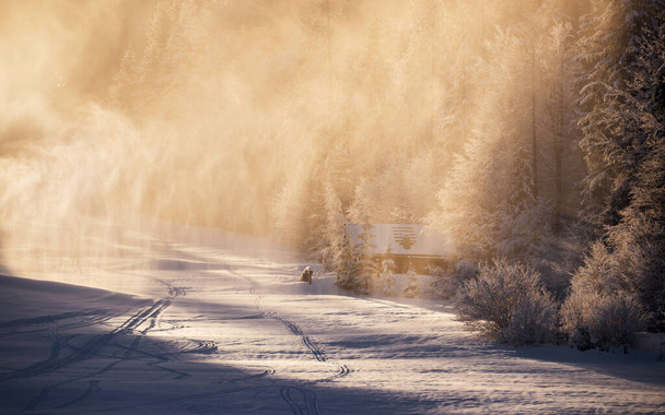 Nieve en el bosque de invierno con casa de campo - Foto, imagen