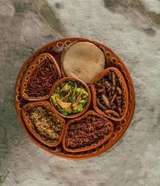 Plate with multiple edible insects, traditional Mexican food, among the dishes are escamoles, grasshoppers, chinicuiles, maguey worms, guacamole with tortilla chips and tortillas - Photo, Image