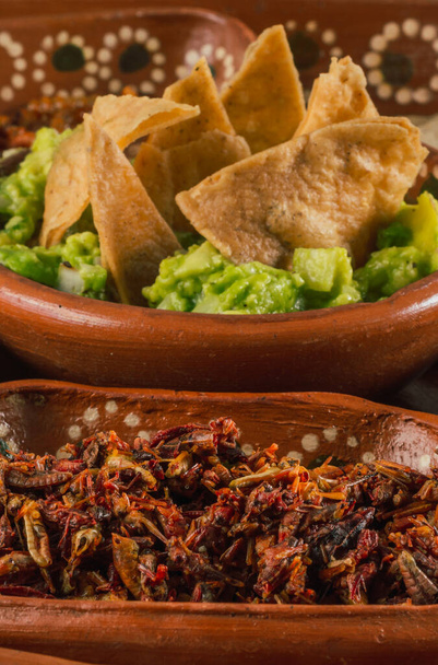 Πιάτο με πολλαπλά βρώσιμα έντομα, παραδοσιακό μεξικάνικο φαγητό, μεταξύ των πιάτων είναι τα escamoles, ακρίδες, chinicuiles, maguey worms, guacamole με τορτίγια τσιπ και οι τορτίγιες - Φωτογραφία, εικόνα