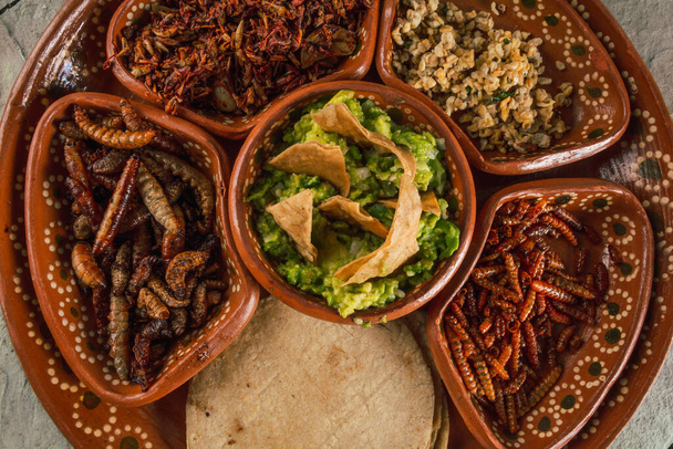 Teller mit mehreren essbaren Insekten, traditionelle mexikanische Küche, unter den Gerichten sind Escamolen, Heuschrecken, Chinicuiles, Maguey Würmer, Guacamole mit Tortilla-Chips und Tortillas - Foto, Bild