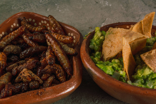 gebratene Chinicuiles mit Tortilla-Chips und Guacamole, traditionelles mexikanisches Essen prähispanischen Ursprungs, serviert auf einem Tonteller. - Foto, Bild