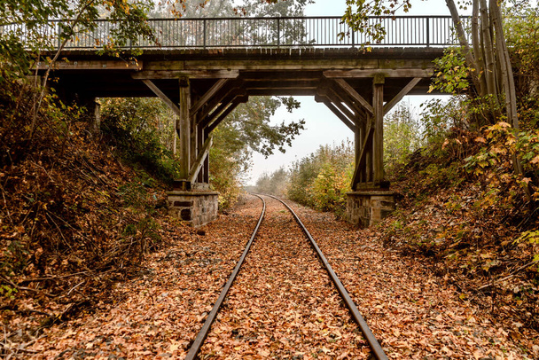 A beautiful view of rails with fallen fall leaves - Φωτογραφία, εικόνα