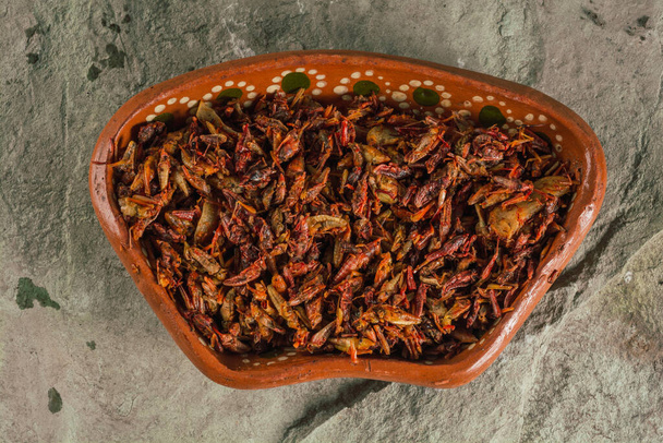 gebratene Heuschrecken mit Tortilla-Chips und Guacamole, traditionelles mexikanisches Essen prähispanischen Ursprungs, serviert auf einem Tonteller. - Foto, Bild