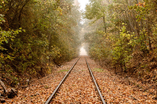 A beautiful view of rails with fallen fall leaves - Foto, Imagem