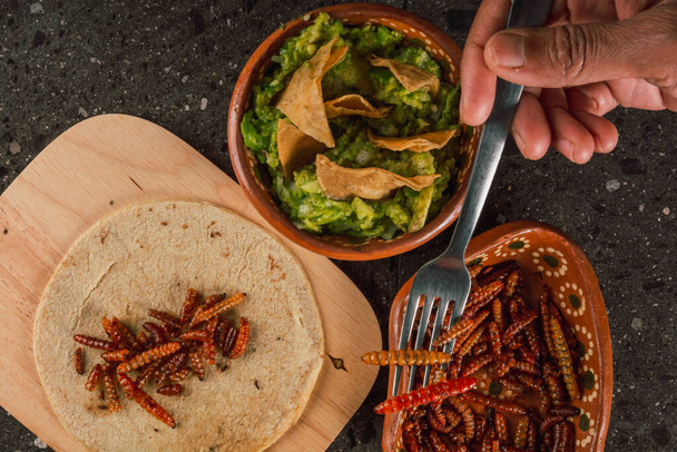 gebratene Maguey-Würmer mit Tortilla-Chips und Guacamole, traditionelles mexikanisches Essen vorspanischen Ursprungs, serviert auf einem Tonteller. - Foto, Bild