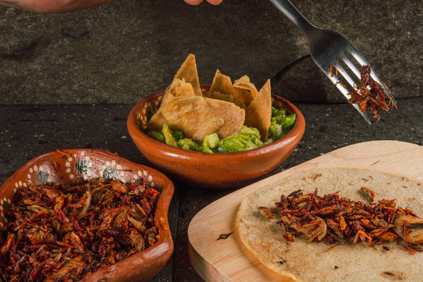 gebratene Heuschrecken mit Tortilla-Chips und Guacamole, Tortilla, traditionelles mexikanisches Essen prähispanischen Ursprungs, serviert auf einem Tonteller. - Foto, Bild