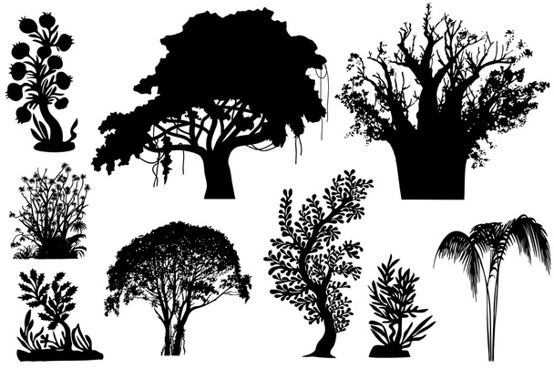 Silhouetten verschiedener afrikanischer Bäume und Sträucher - Vektor, Bild